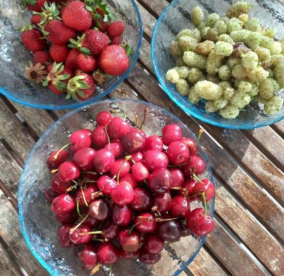 Пансион Cada View