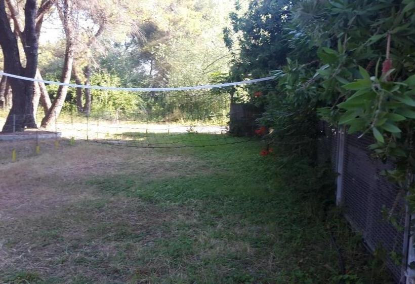 Пансион Cada View