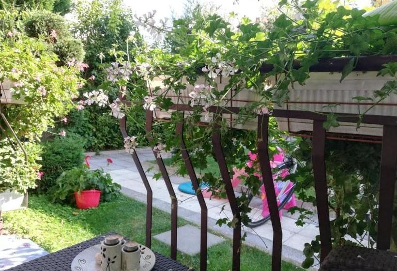 بنسيون Guest House Ivy