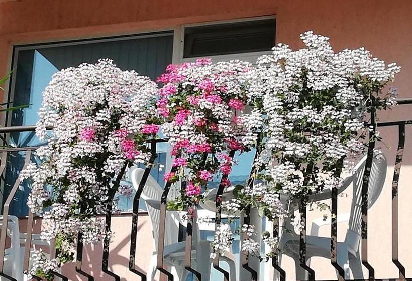 بنسيون Guest House Ivy