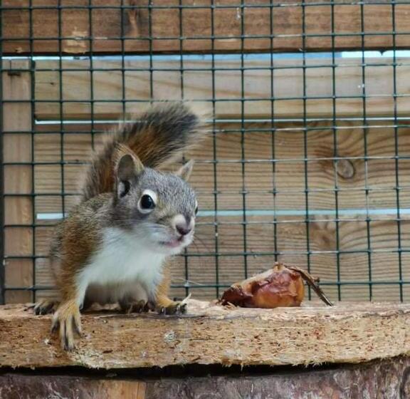 膳宿费 Guesthouse Eden