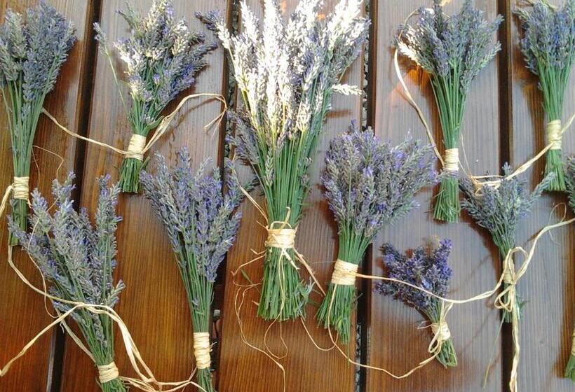 膳宿费 Guesthouse Eden