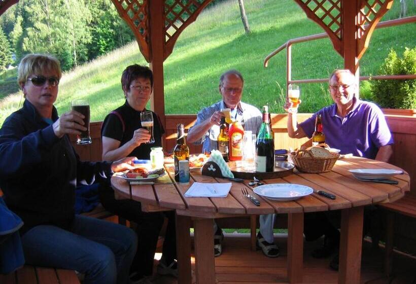 بنسيون Horský Dům