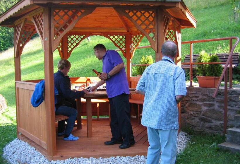 بنسيون Horský Dům