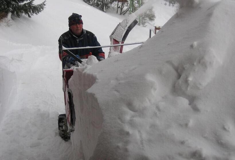 بنسيون Horský Dům