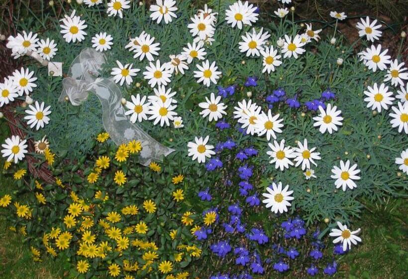 بنسيون Horský Dům