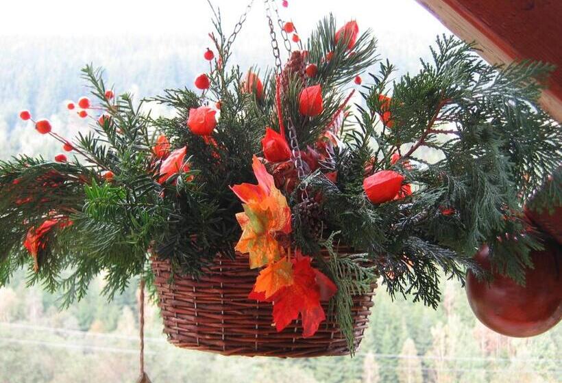 بنسيون Horský Dům