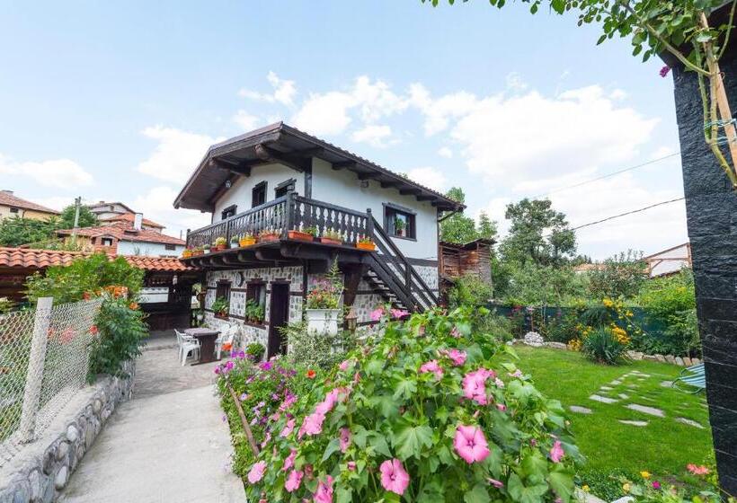Пансион Oasis Guest House