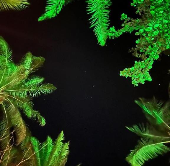 بنسيون Pousada Estrela