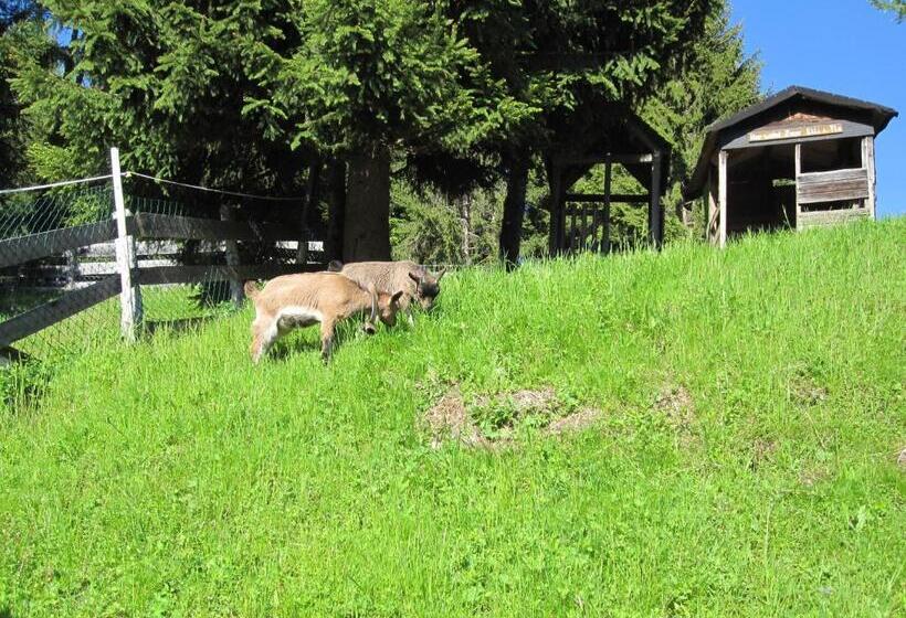 پانسیون Reitlehenalm