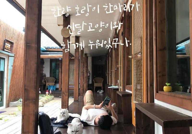 بنسيون Sindal Guesthouse