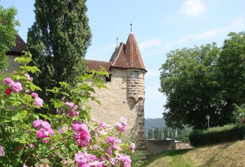 بنسيون Weingut Gastehaus Weigand