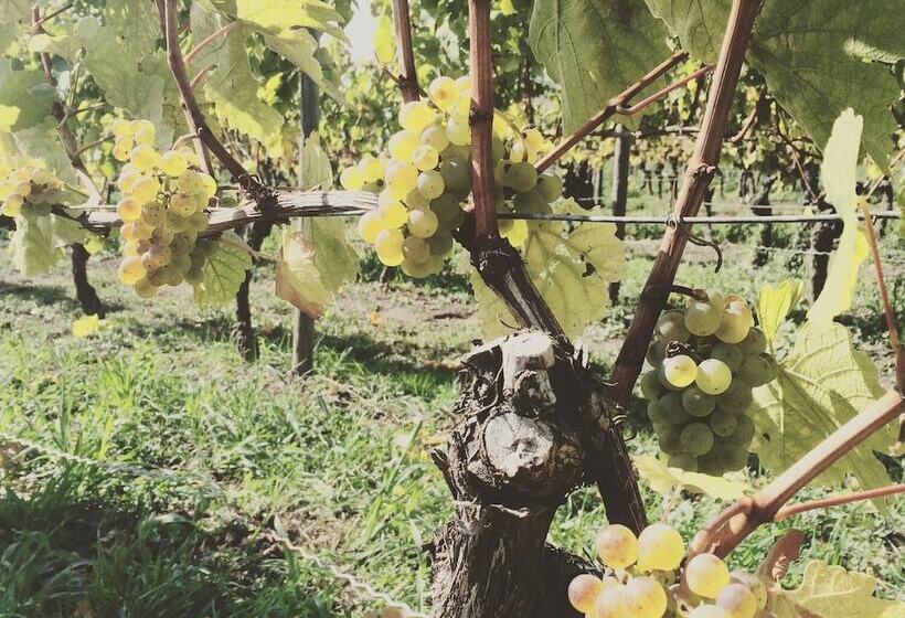 بنسيون Weingut Gastehaus Weigand