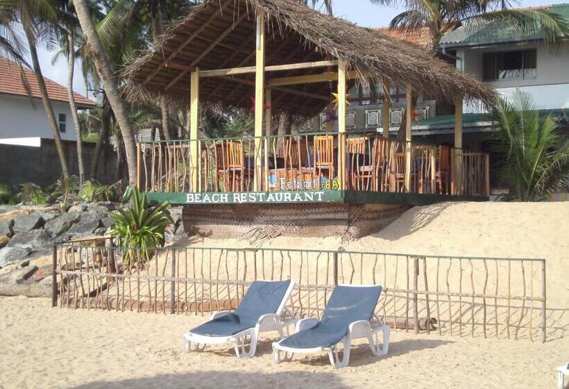 Пансион Whitepearl Beach