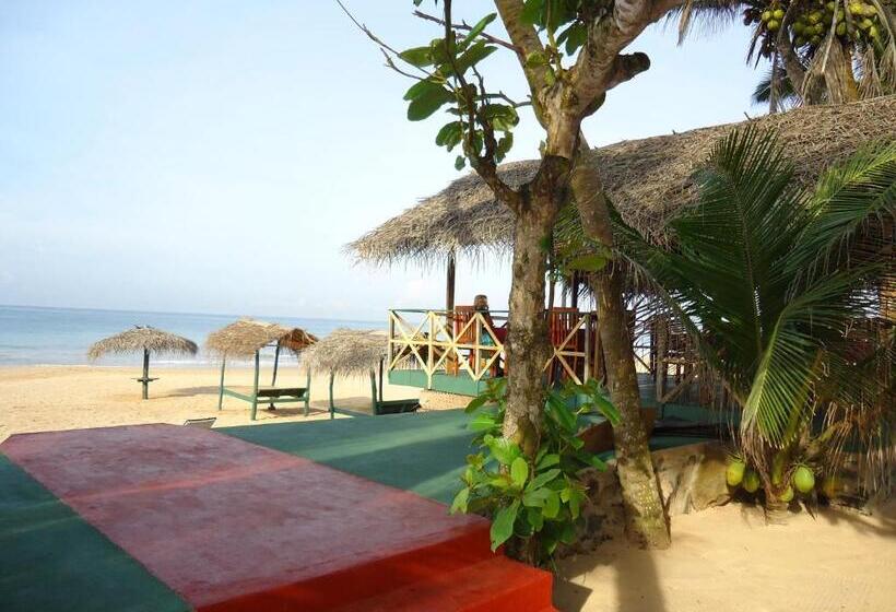 Пансион Whitepearl Beach