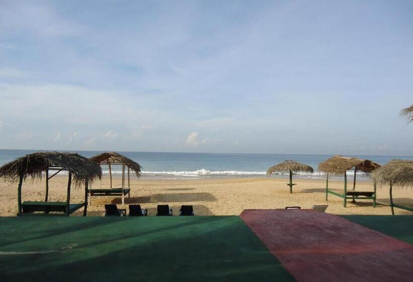 Пансион Whitepearl Beach