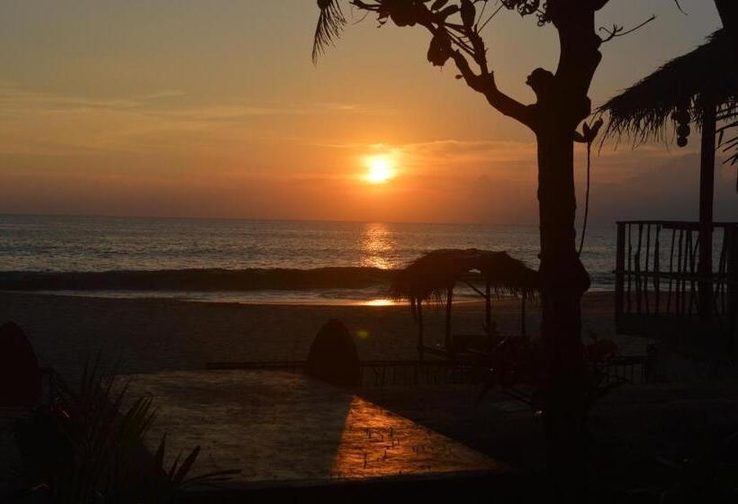 Пансион Whitepearl Beach