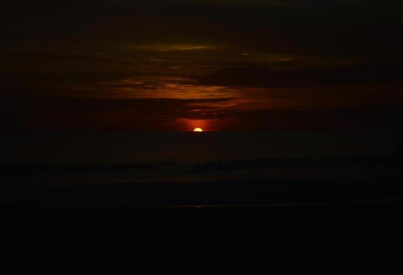 Пансион Whitepearl Beach