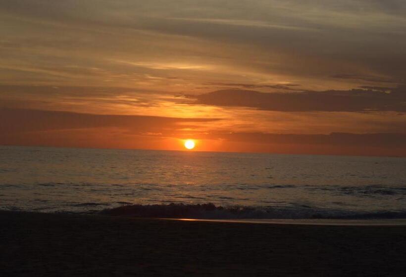 Пансион Whitepearl Beach