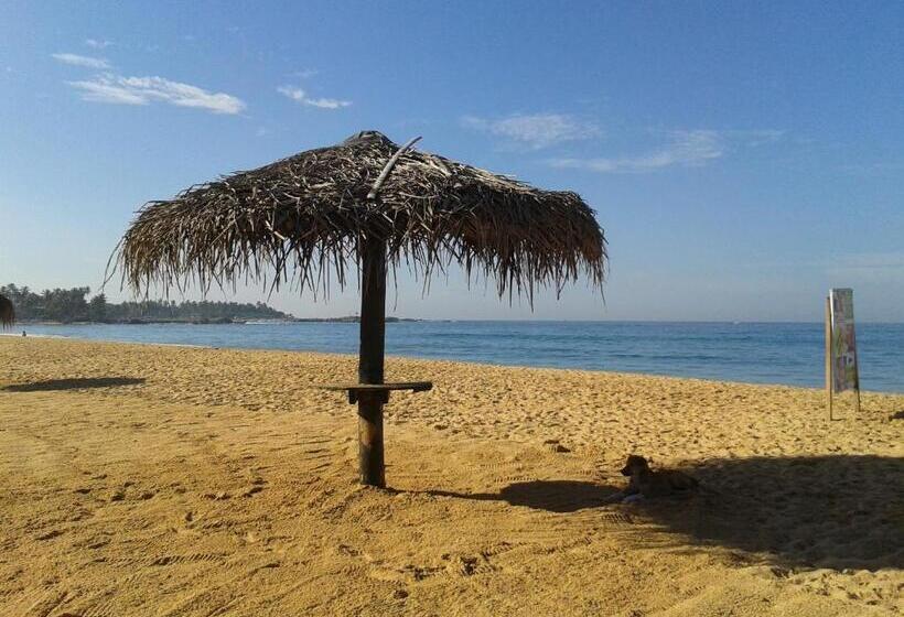 Пансион Whitepearl Beach