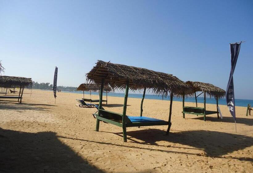 Пансион Whitepearl Beach