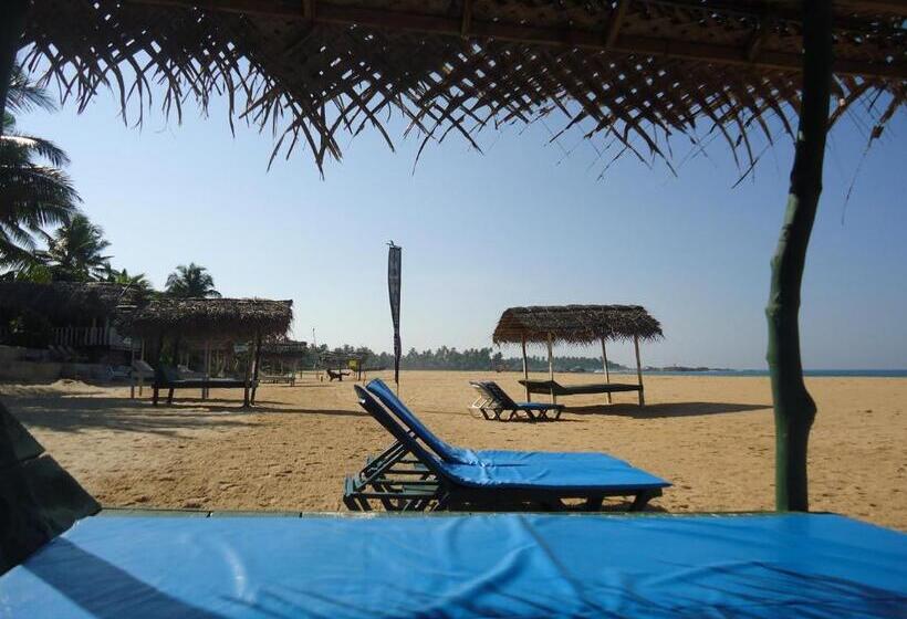 Пансион Whitepearl Beach