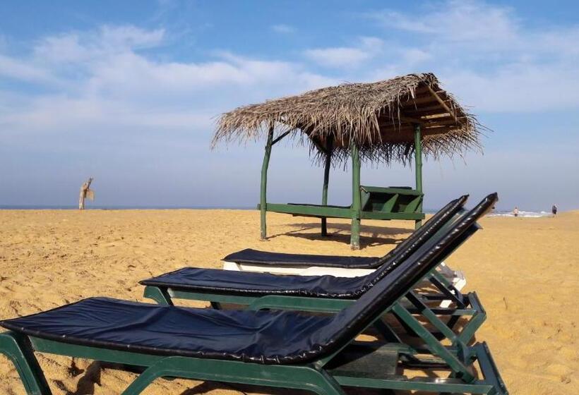 Пансион Whitepearl Beach