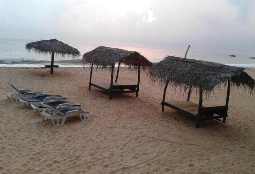 Пансион Whitepearl Beach