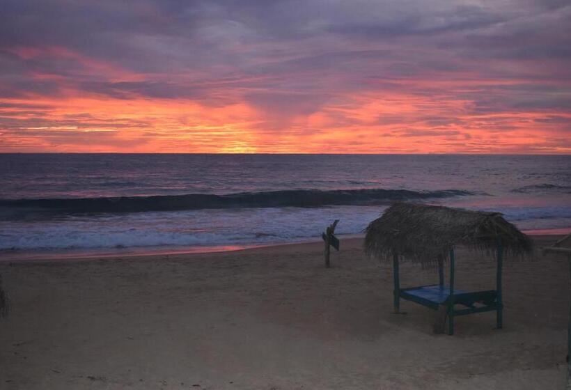 Пансион Whitepearl Beach