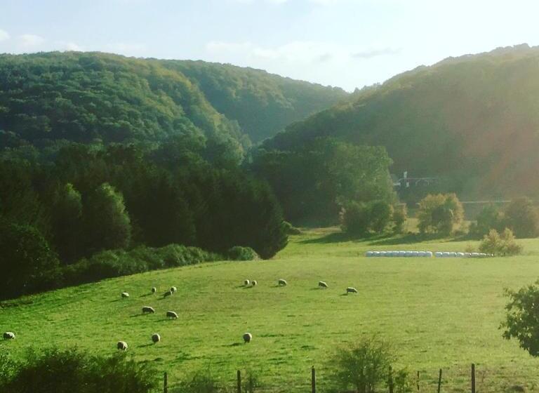 Pensionat Söderåsen