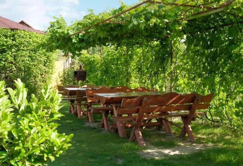 Pensiunea Andrei Rm Valcea