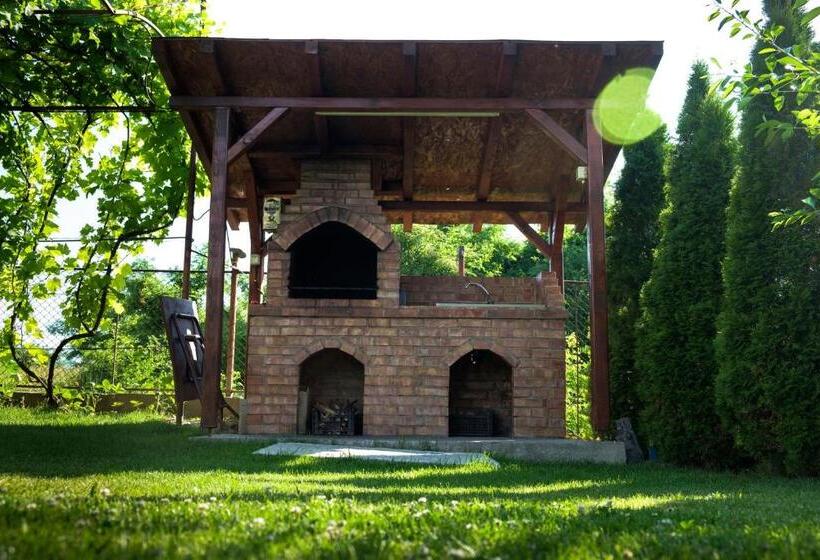 Pensiunea Andrei Rm Valcea