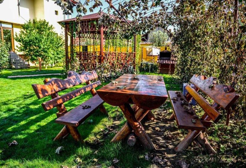 Pensiunea Andrei Rm Valcea