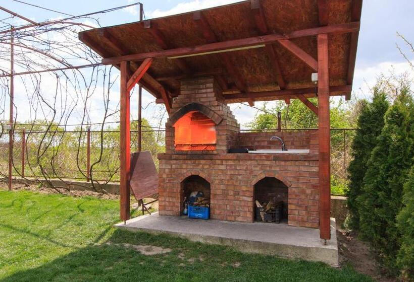 Pensiunea Andrei Rm Valcea