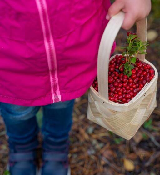منتجع Holiday Village Kukkapää