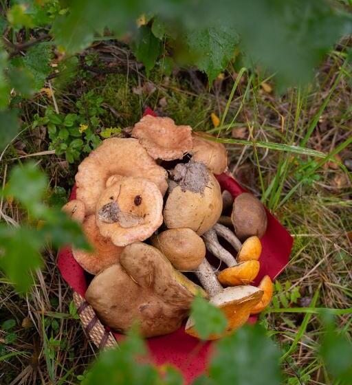 منتجع Holiday Village Kukkapää