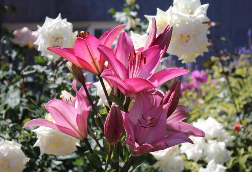 استراحتگاه Tri Korony