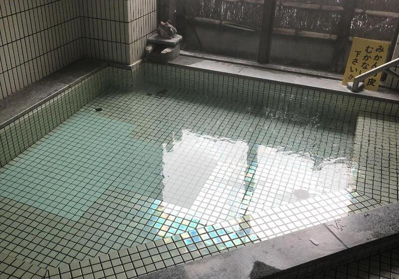 ريوكان Yugawara Onsen Apolosou