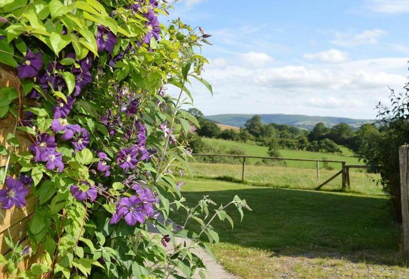 Smithfield Farm Bed & Breakfast