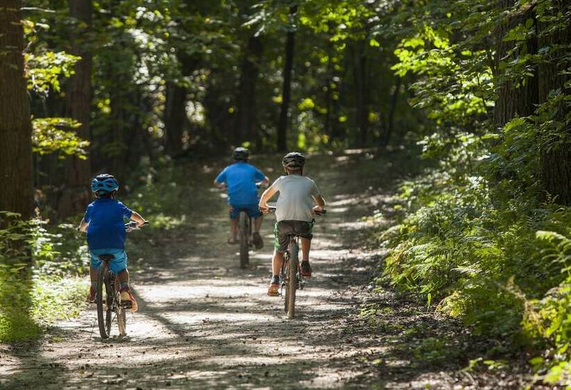 Chestnut Mountain Resort