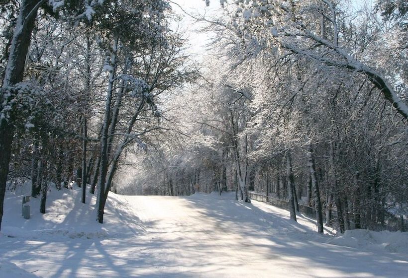 Cragun S Resort On Gull Lake