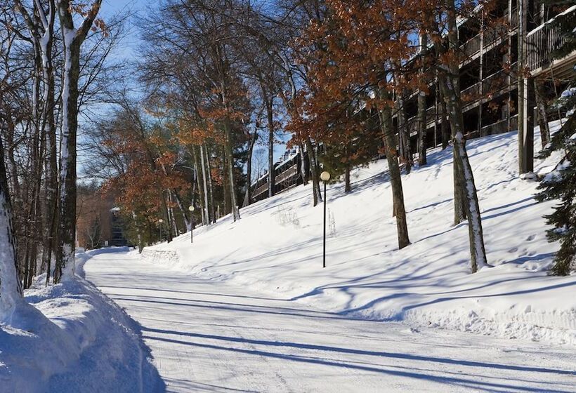 Cragun S Resort On Gull Lake