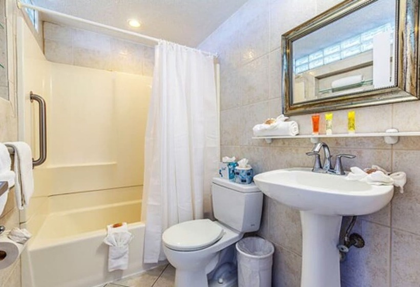 The Crusader Oceanfront Family Resort