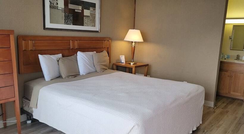 The Crusader Oceanfront Family Resort