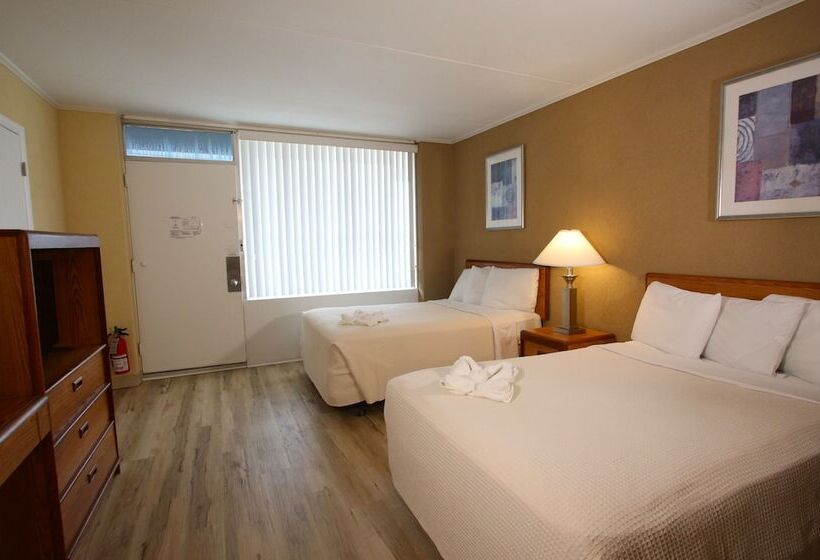 The Crusader Oceanfront Family Resort