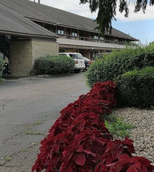 호텔 American Value Inn