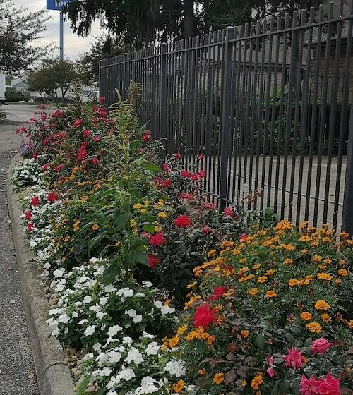 فندق American Value Inn