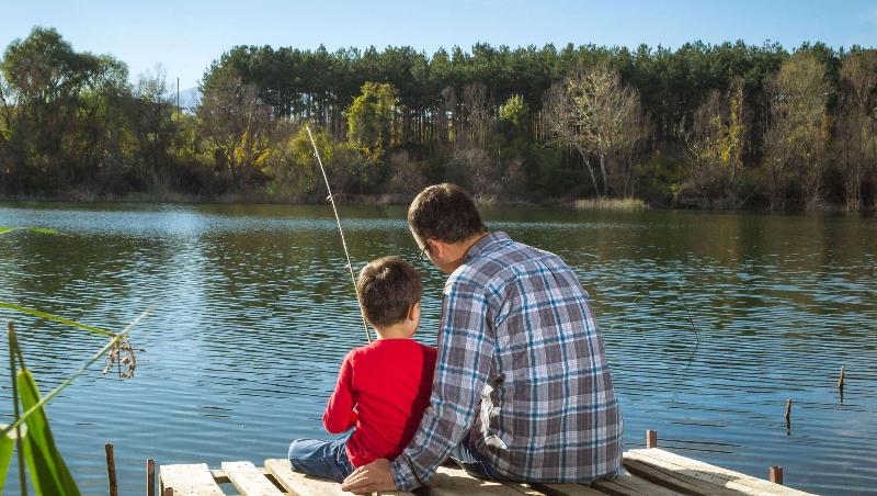 فندق Charles Wesley Motor Lodge