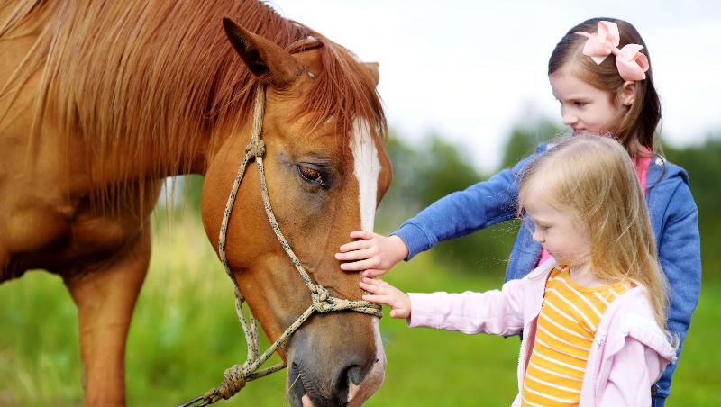فندق Charles Wesley Motor Lodge