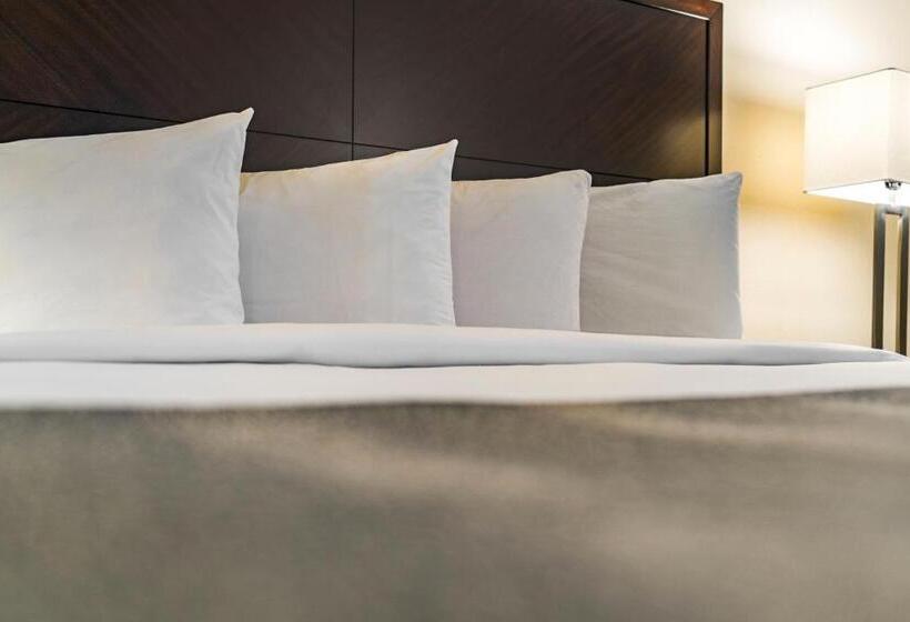 ホテル Chase Suite  El Paso